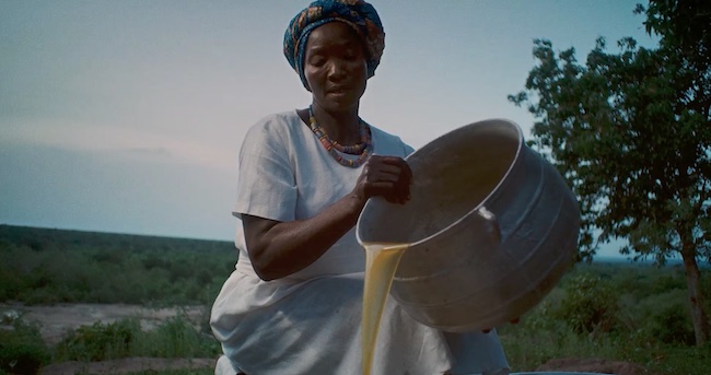 L&rsquo;occitane « SHEA »
