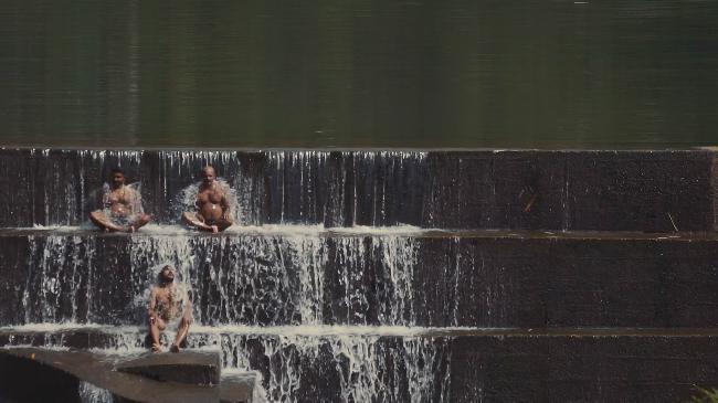 Four leaves « Documentary »