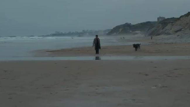 Mon chien stupide « Bande Annonce »
