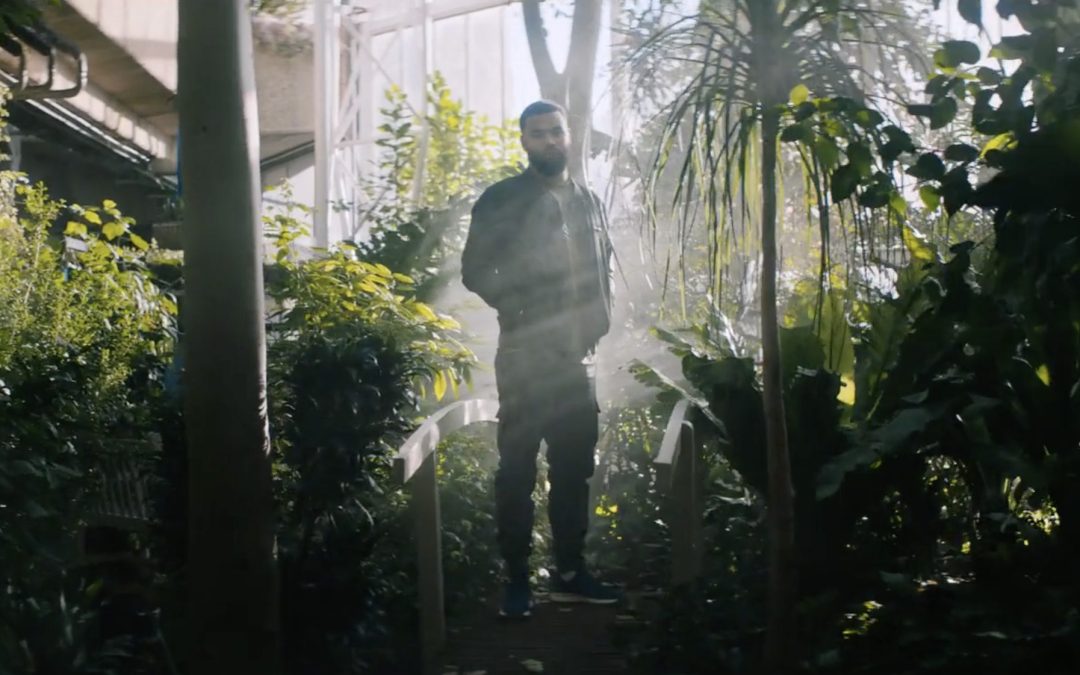 Timberland X Yungen « The green room »
