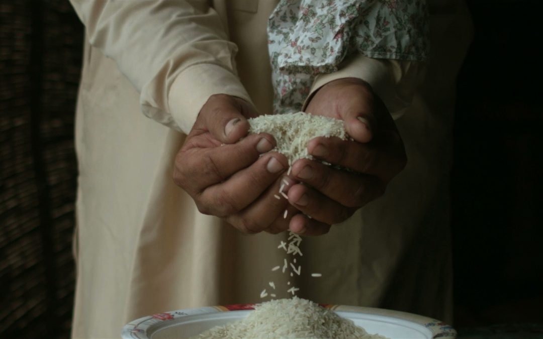 Uncle ben&rsquo;s « Consumer »